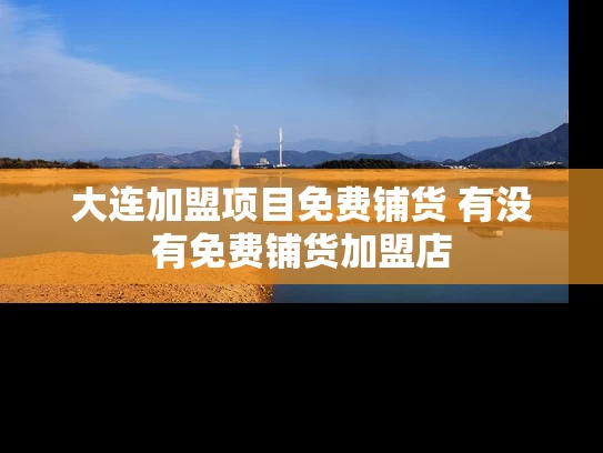 大连加盟项目免费铺货 有没有免费铺货加盟店