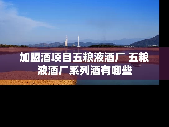 加盟酒项目五粮液酒厂 五粮液酒厂系列酒有哪些