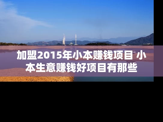 加盟2015年小本赚钱项目 小本生意赚钱好项目有那些