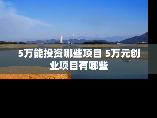 5万能投资哪些项目 5万元创业项目有哪些
