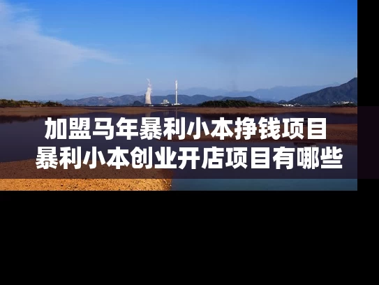 加盟马年暴利小本挣钱项目 暴利小本创业开店项目有哪些