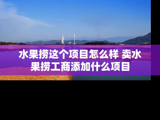 水果捞这个项目怎么样 卖水果捞工商添加什么项目