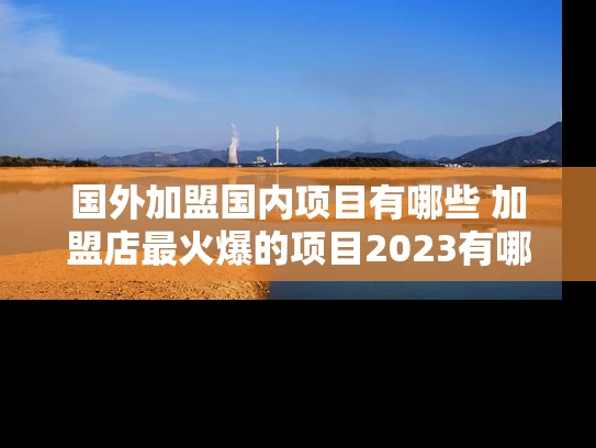 国外加盟国内项目有哪些 加盟店最火爆的项目2023有哪些