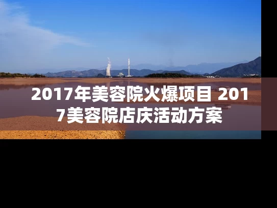 2017年美容院火爆项目 2017美容院店庆活动方案