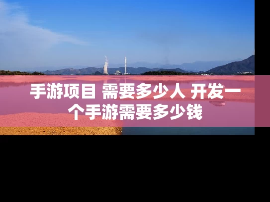 手游项目 需要多少人 开发一个手游需要多少钱