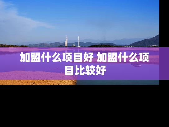 加盟什么项目好 加盟什么项目比较好