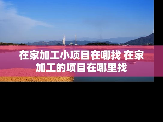 在家加工小项目在哪找 在家加工的项目在哪里找