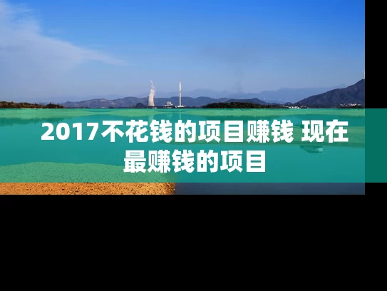 2017不花钱的项目赚钱 现在最赚钱的项目
