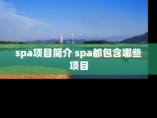 spa项目简介 spa都包含哪些项目