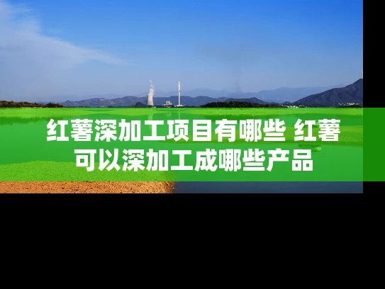 红薯深加工项目有哪些 红薯可以深加工成哪些产品