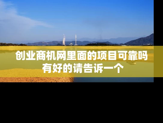 创业商机网里面的项目可靠吗 有好的请告诉一个