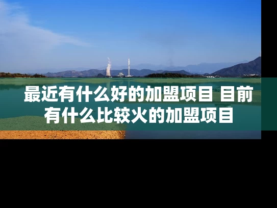 最近有什么好的加盟项目 目前有什么比较火的加盟项目