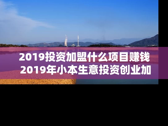 2019投资加盟什么项目赚钱 2019年小本生意投资创业加盟项目有哪些