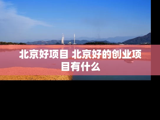 北京好项目 北京好的创业项目有什么
