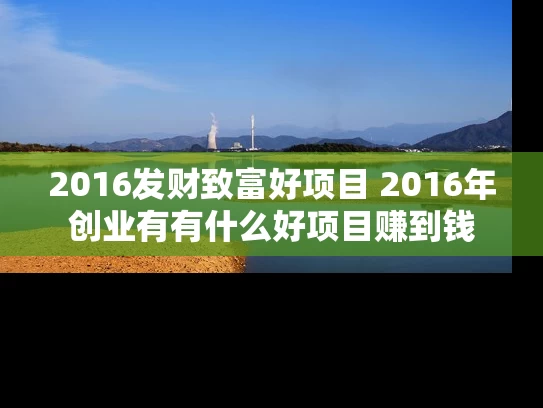 2016发财致富好项目 2016年创业有有什么好项目赚到钱