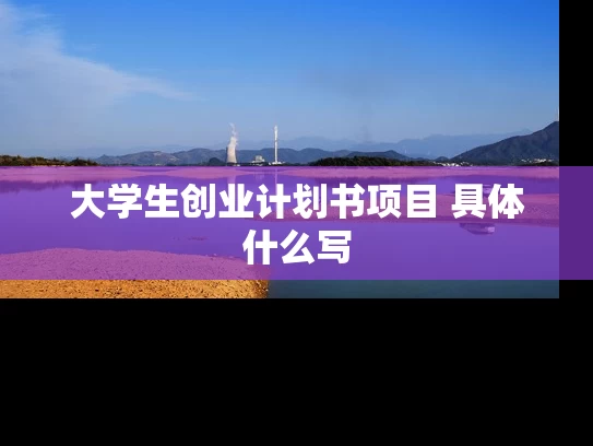 大学生创业计划书项目 具体什么写