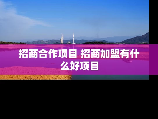 招商合作项目 招商加盟有什么好项目