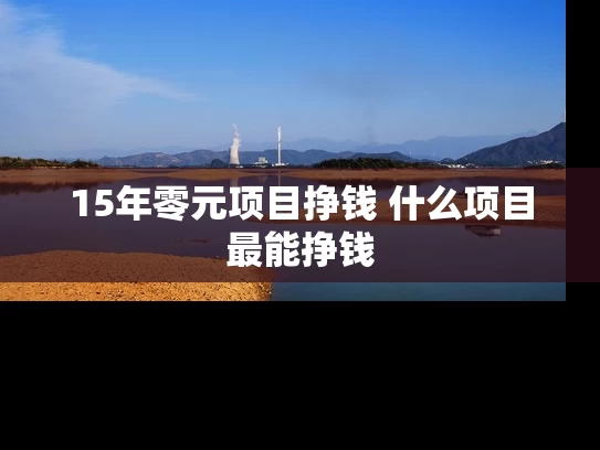 15年零元项目挣钱 什么项目最能挣钱