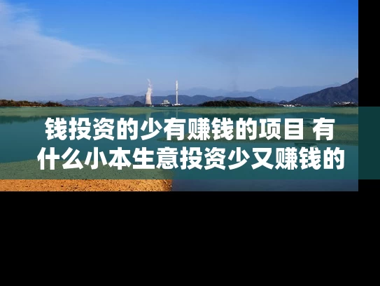 钱投资的少有赚钱的项目 有什么小本生意投资少又赚钱的吗