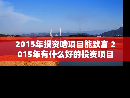 2015年投资啥项目能致富 2015年有什么好的投资项目