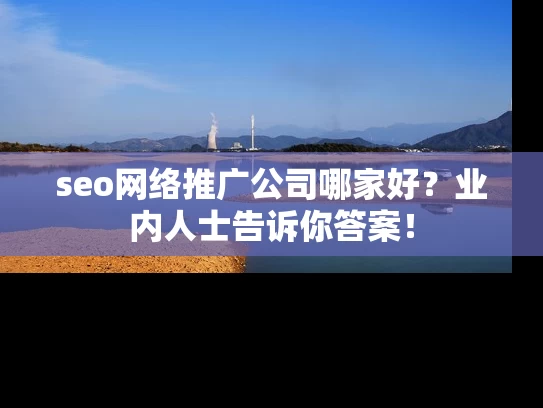 seo网络推广公司哪家好？业内人士告诉你答案！