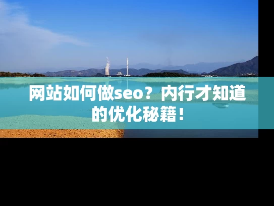 网站如何做seo？内行才知道的优化秘籍！