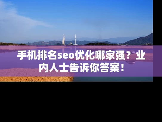 手机排名seo优化哪家强？业内人士告诉你答案！