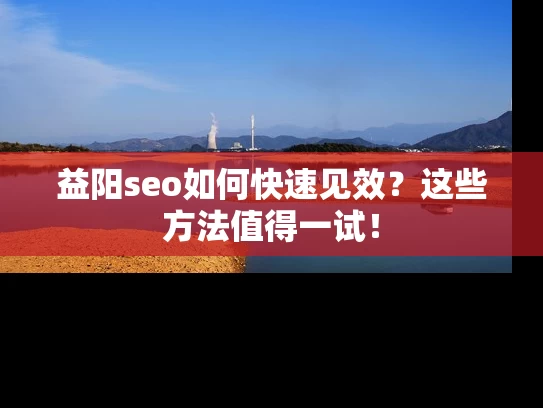 益阳seo如何快速见效？这些方法值得一试！