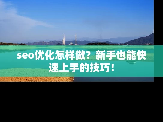 seo优化怎样做？新手也能快速上手的技巧！