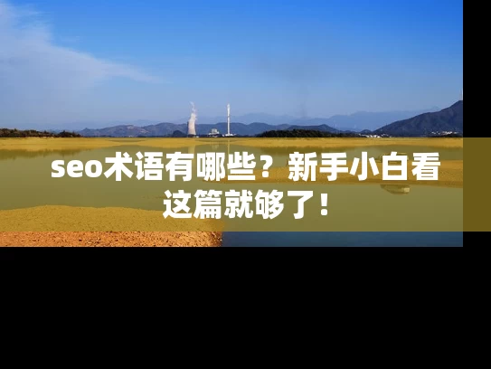 seo术语有哪些？新手小白看这篇就够了！