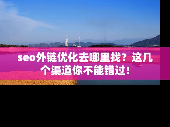 seo外链优化去哪里找？这几个渠道你不能错过！
