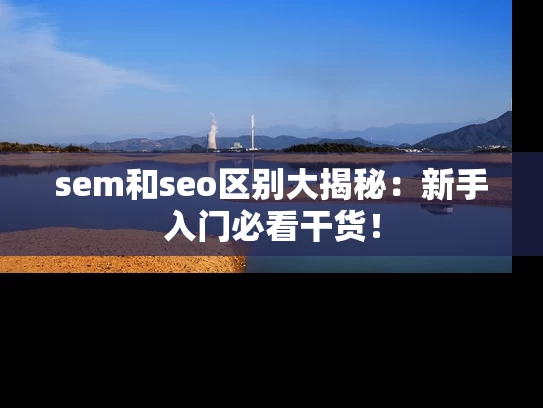sem和seo区别大揭秘：新手入门必看干货！