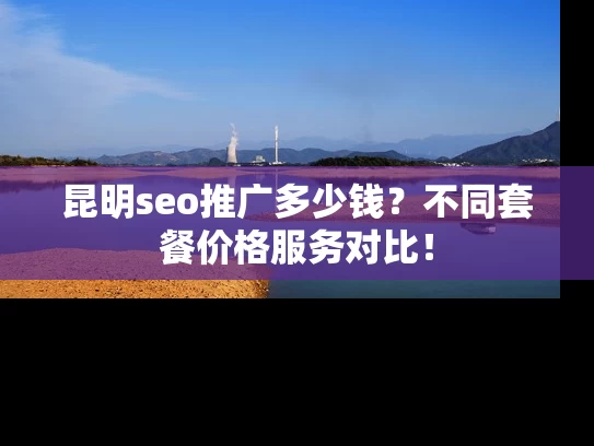 昆明seo推广多少钱？不同套餐价格服务对比！