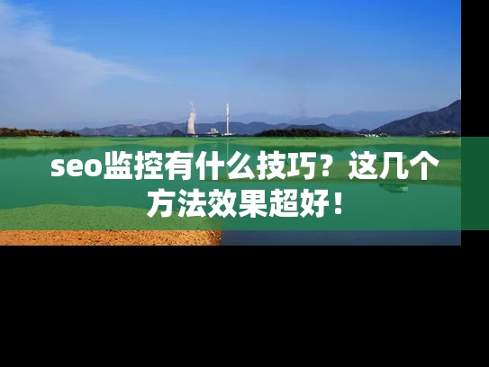 seo监控有什么技巧？这几个方法效果超好！