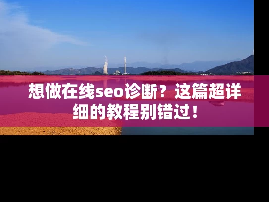 想做在线seo诊断？这篇超详细的教程别错过！