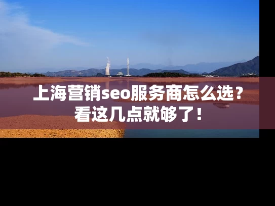 上海营销seo服务商怎么选？看这几点就够了！