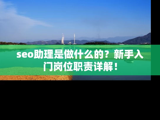 seo助理是做什么的？新手入门岗位职责详解！