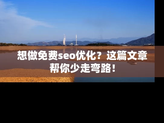 想做免费seo优化？这篇文章帮你少走弯路！