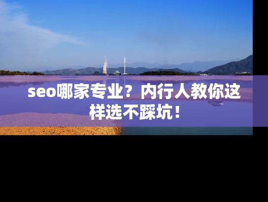 seo哪家专业？内行人教你这样选不踩坑！