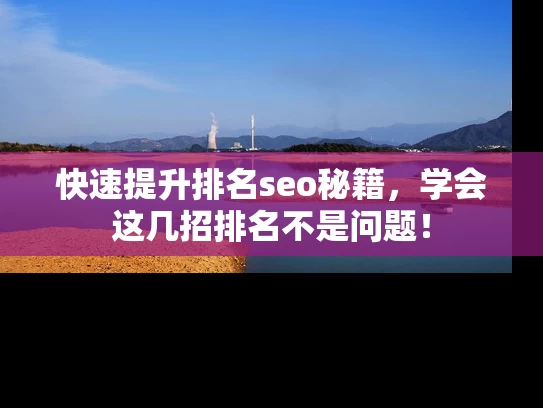 快速提升排名seo秘籍，学会这几招排名不是问题！