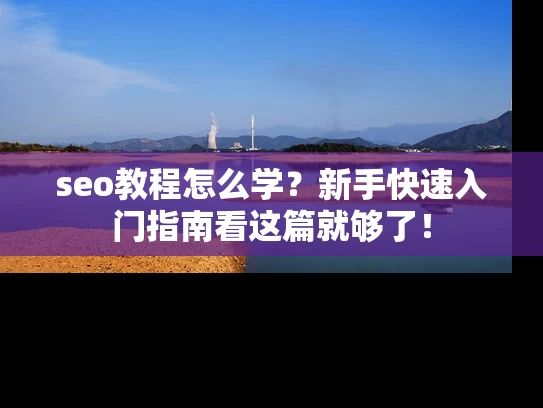 seo教程怎么学？新手快速入门指南看这篇就够了！
