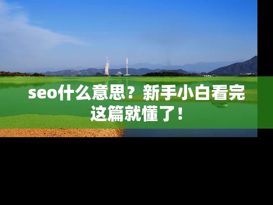 seo什么意思？新手小白看完这篇就懂了！