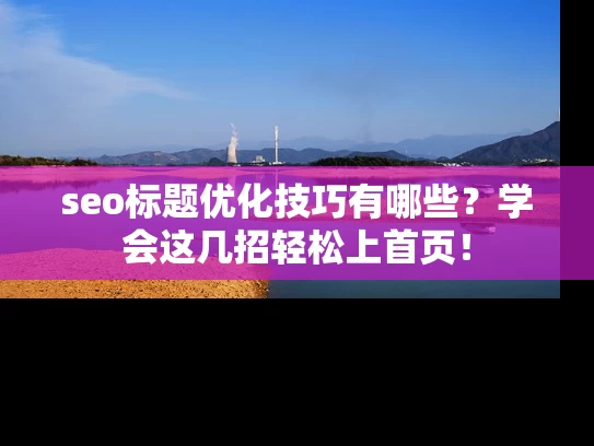 seo标题优化技巧有哪些？学会这几招轻松上首页！