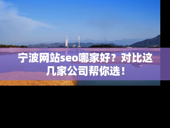 宁波网站seo哪家好？对比这几家公司帮你选！