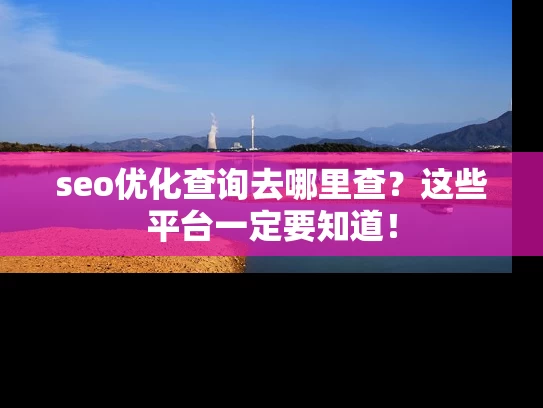 seo优化查询去哪里查？这些平台一定要知道！