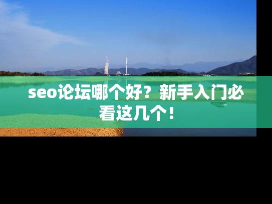 seo论坛哪个好？新手入门必看这几个！