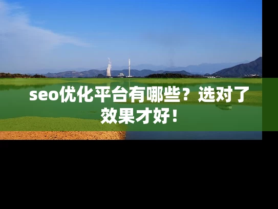 seo优化平台有哪些？选对了效果才好！