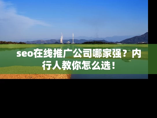 seo在线推广公司哪家强？内行人教你怎么选！
