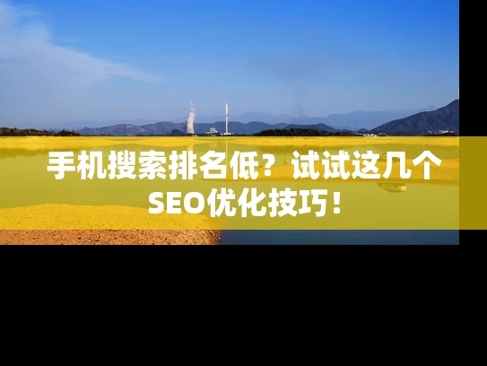 手机搜索排名低？试试这几个SEO优化技巧！