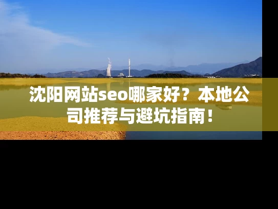 沈阳网站seo哪家好？本地公司推荐与避坑指南！